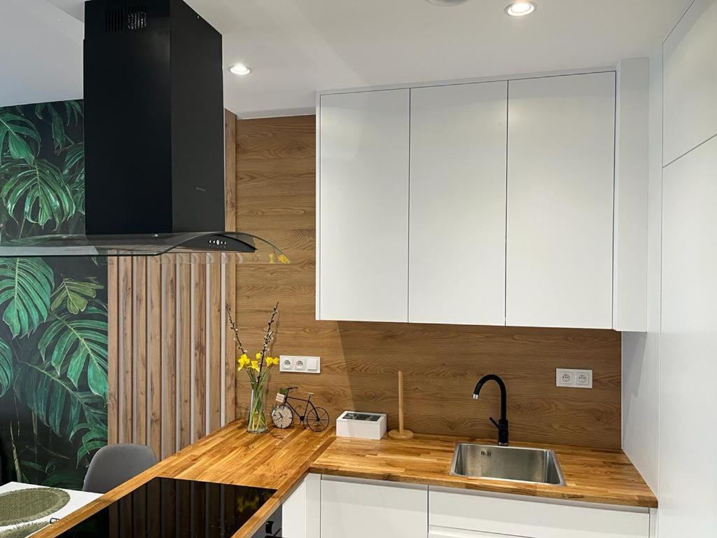 Apartament Zacisze 13 Crickhowell Exterior foto